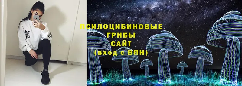 Галлюциногенные грибы Psilocybe  Иннополис 